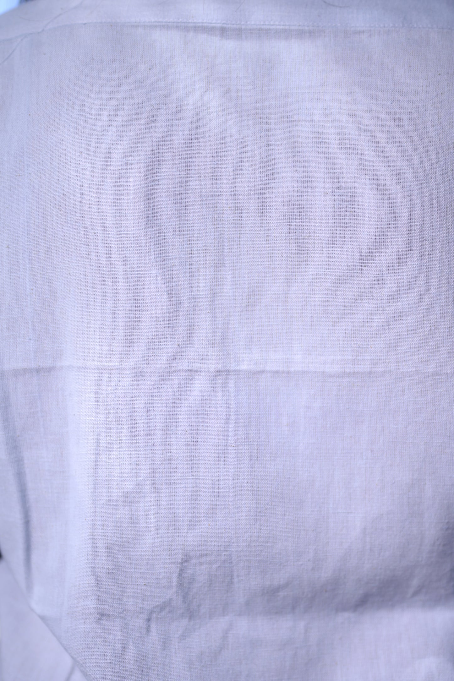 Blue Embroidered Shirt