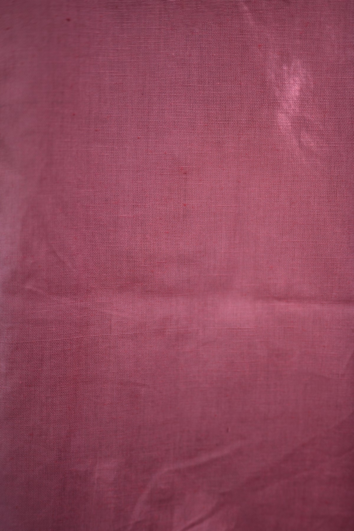 Flamingo Embroidered
